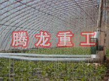 大棚花卉供暖設(shè)備、大棚卉采暖設(shè)備、大棚花卉取暖設(shè)備