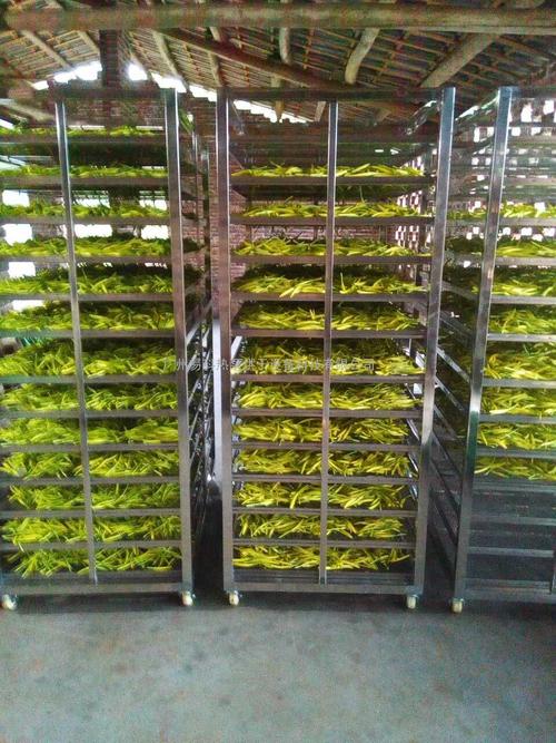 黃花菜烘干機(jī)、黃花菜烘干設(shè)備、黃花菜干燥機(jī)、黃花菜干燥設(shè)備、